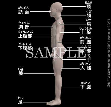 男脚組 