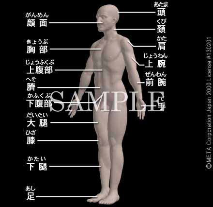 j̑̕\i]j 摜