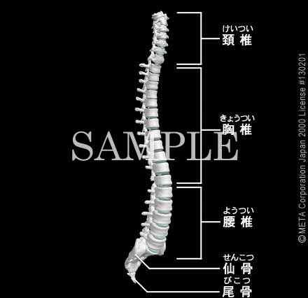 Ғi]j 摜