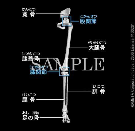 ̍i]j 摜