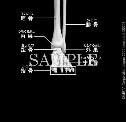 ̍i]j 摜 摜