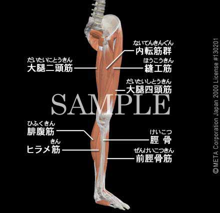 ̋؁i]j 摜