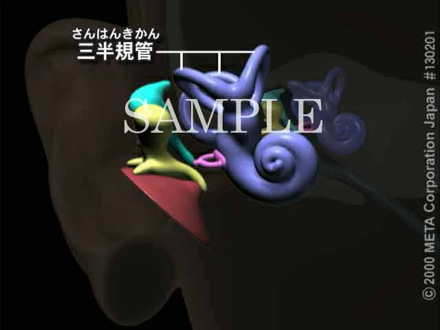 ]̒mo邵݁ij 摜