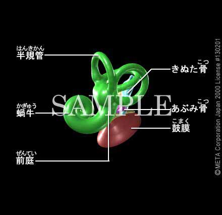 ̍\ 摜