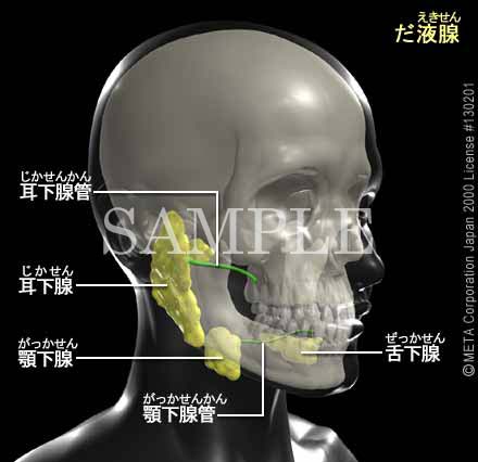 唾液腺涙腺炎