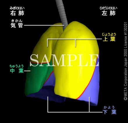 xti8/8j摜