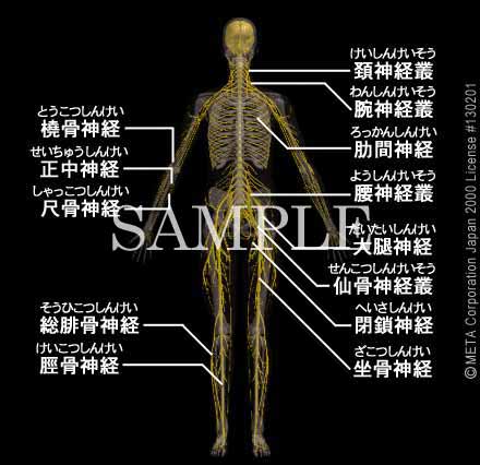 Sg̐_oi1/8j 摜