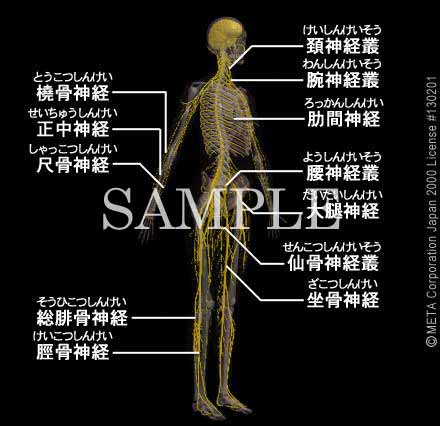 Sg̐_oi2/8j 摜