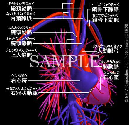 SƔxǁi2/8j 摜 