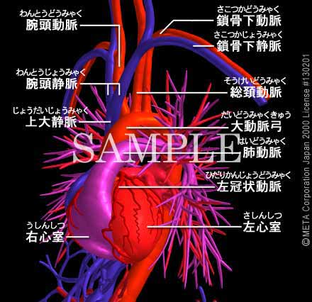 SƔxǁi8/8j 摜