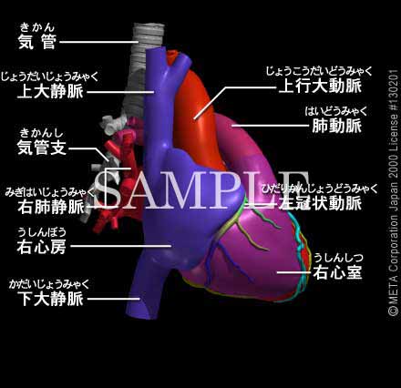 SƊi2/8j 摜