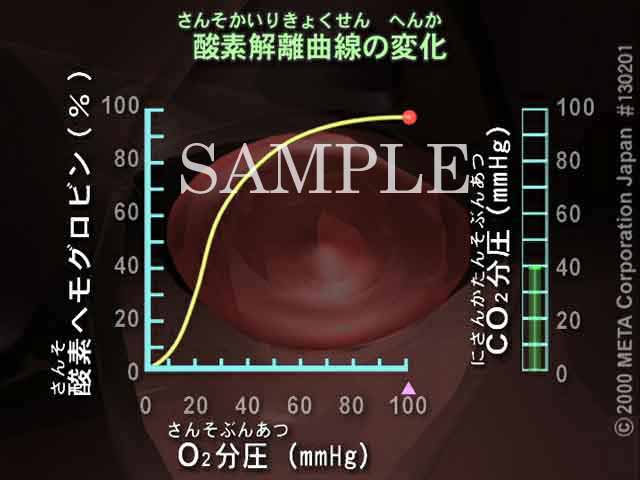 Ԍ_f^Ԃ݁i4/8j 摜