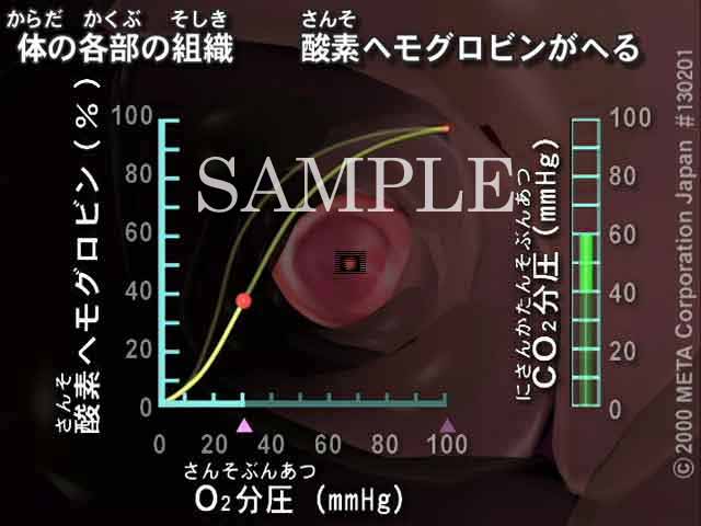 Ԍ_f^Ԃ݁i6/8j 摜