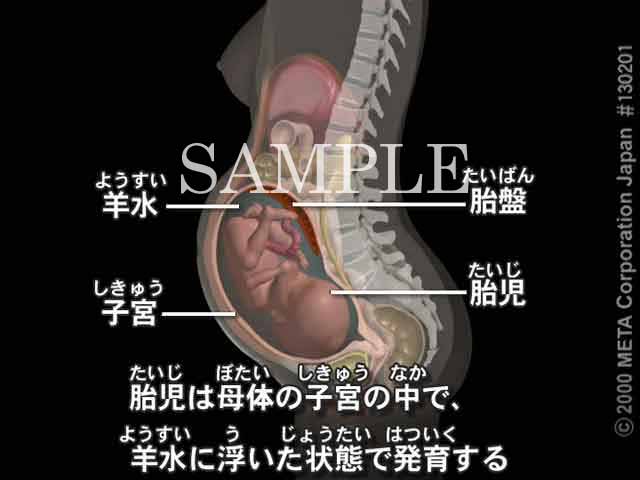 ٔՂ̍\i2/5j 摜