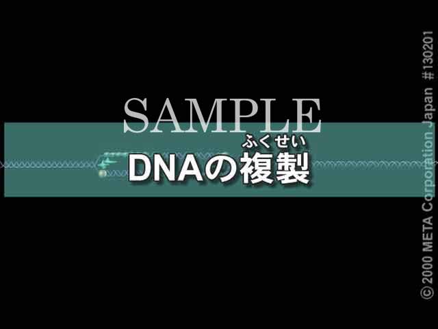 DNA̕i1/6j 摜