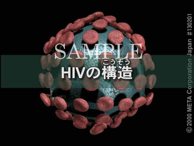 HIV̍\i1/5j 摜