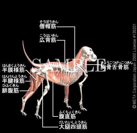 r[O̍iƍi؁i4/8j 摜